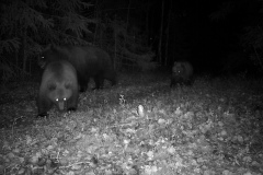 Hunter Camera