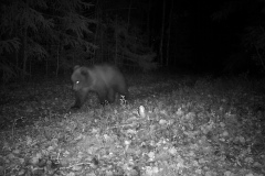 Hunter Camera